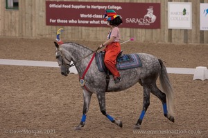 Lusitano Breed Society of Great Britain Show - Hartpury College - 27th June 2009